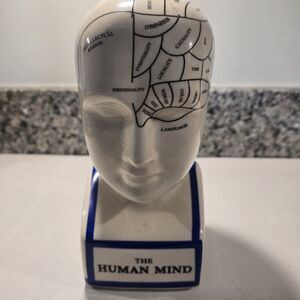 MEDICAL PHRENOLOGY HEAD BUST Vintage Figure 7” Tall STATUE Scientific Psychology